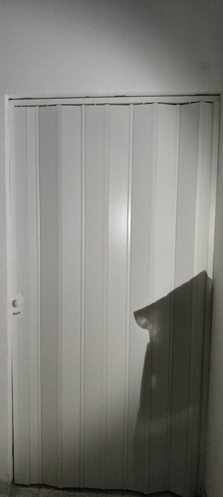 Aluminium Door - Photo 4